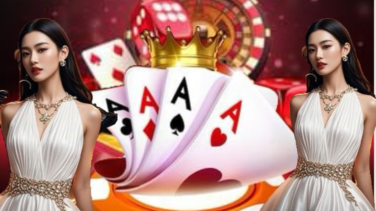login ck444